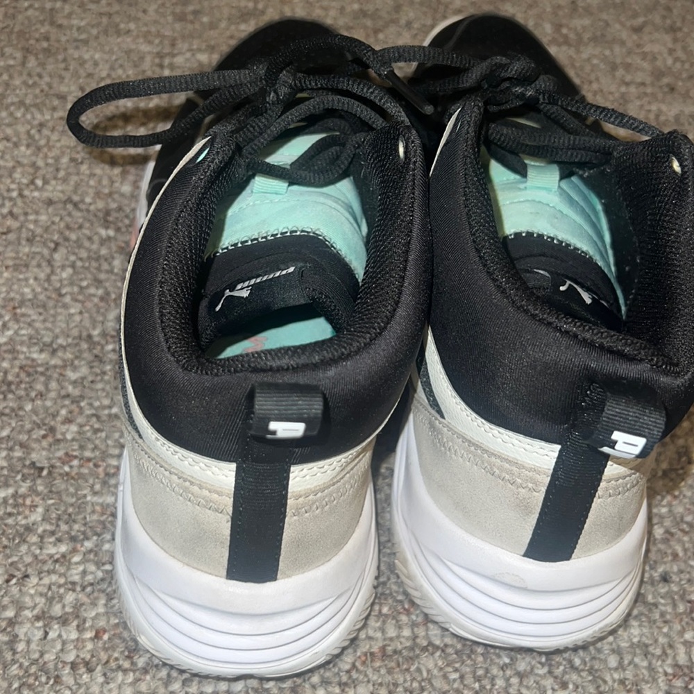 Puma